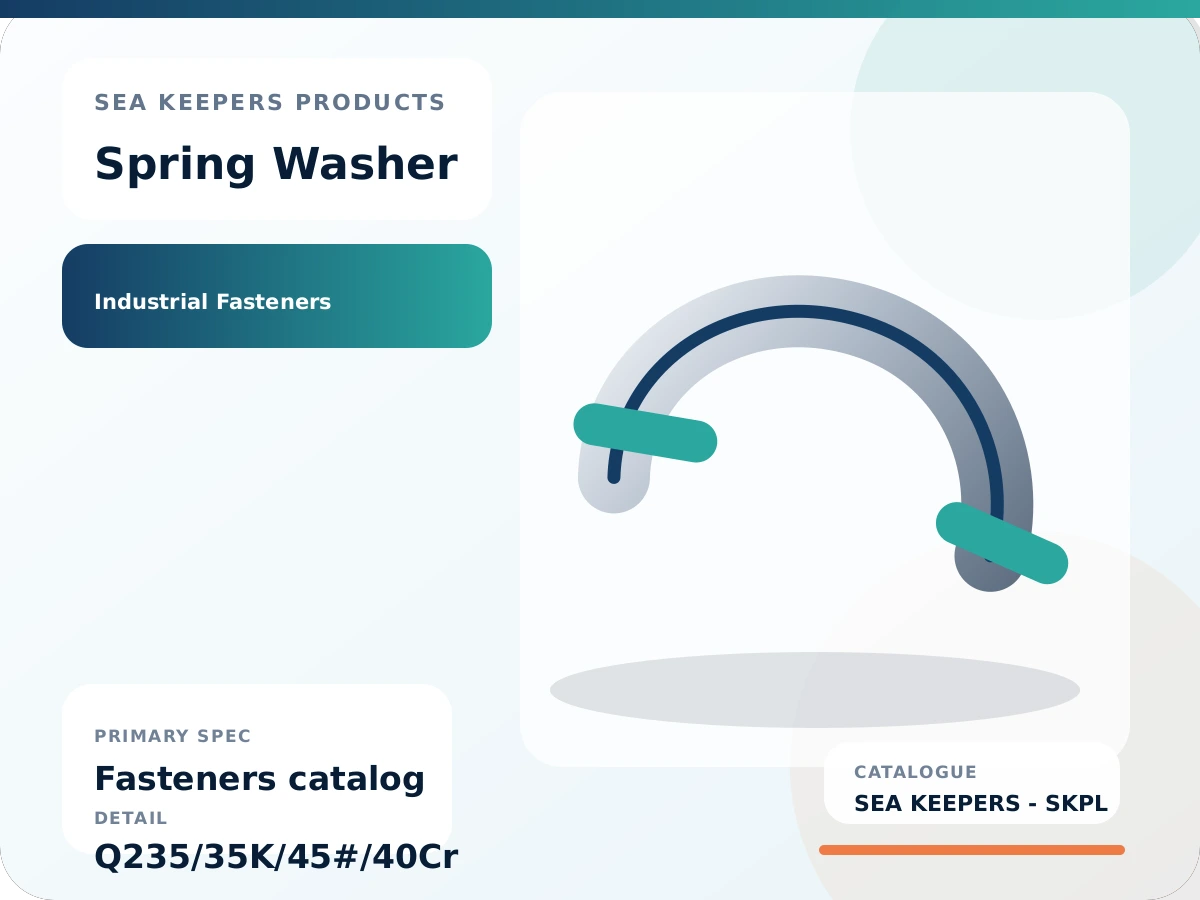 Spring Washer
